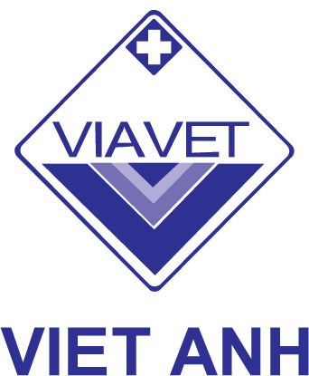 VIET ANH